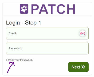 PATCH Login - Reset Password Link