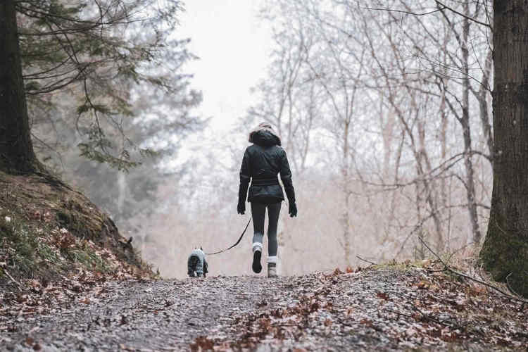 rehomed pet being walked